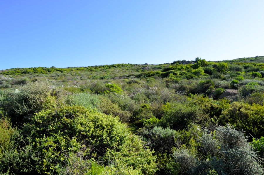 0 Bedroom Property for Sale in Steenbergs Cove Western Cape